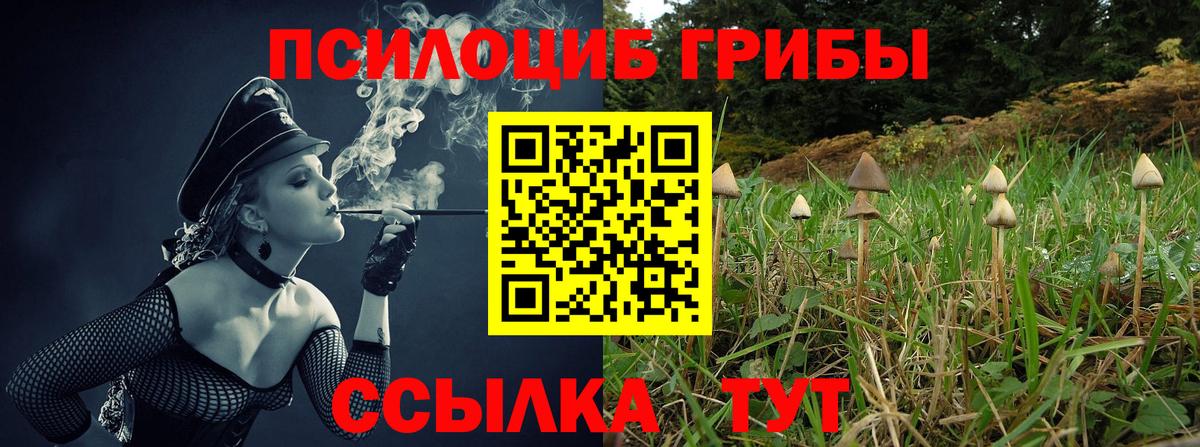 Галлюциногенные грибы прущие грибы Иркутск