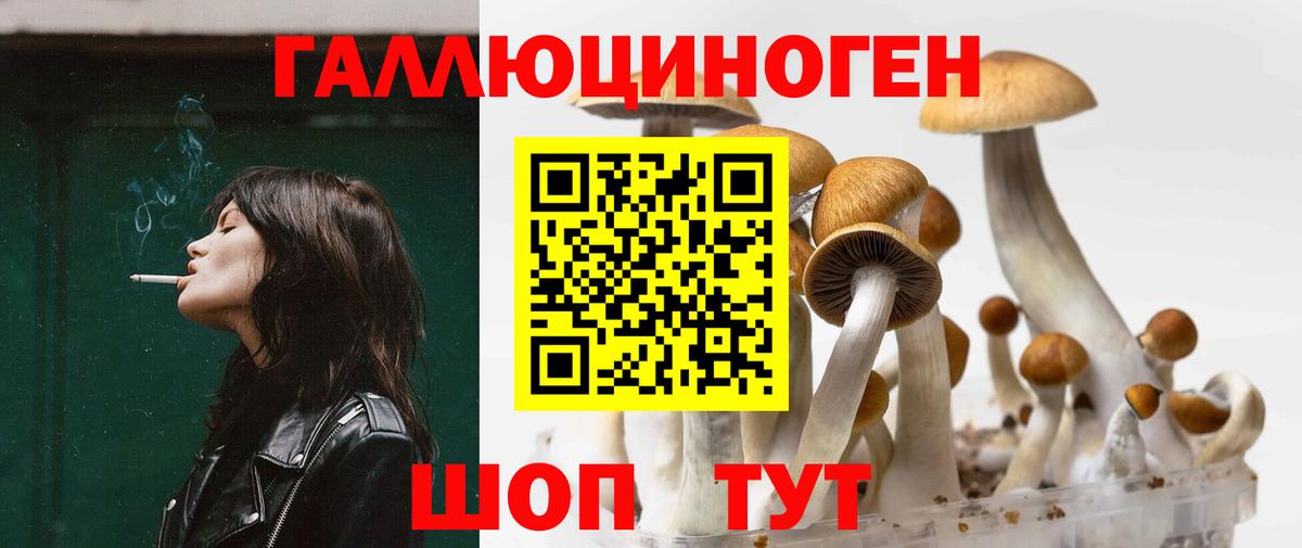 Иркутск  Псилоцибиновые грибы Psilocybe  Псилоцибиновые грибы прущие грибы  Вход с VPN 